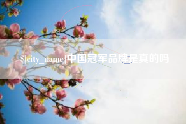 文山中国冠军品牌是真的吗