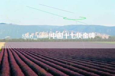 文山中国十七块金牌