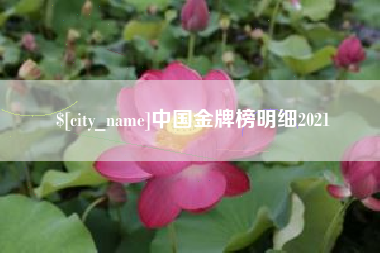 文山中国金牌榜明细2021