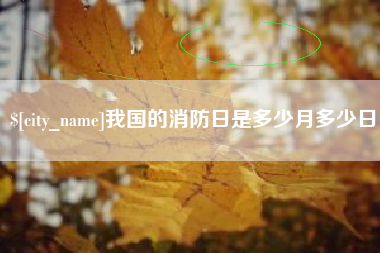 文山我国的消防日是多少月多少日