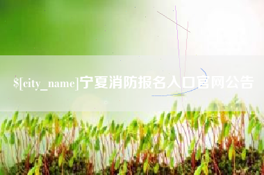 文山宁夏消防报名入口官网公告