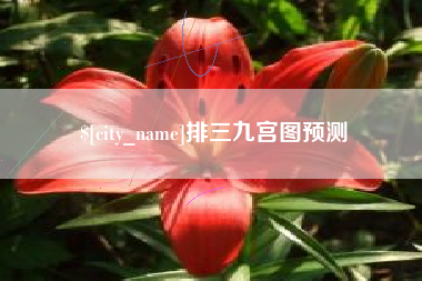 文山排三九宫图预测