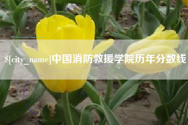 文山中国消防救援学院历年分数线