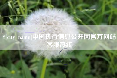 文山中国执行信息公开网官方网站客服热线
