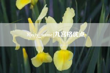文山九宫格优点