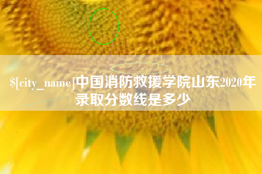 文山中国消防救援学院山东2020年录取分数线是多少