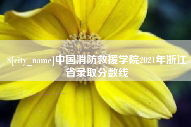 文山中国消防救援学院2021年浙江省录取分数线