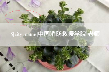 文山中国消防救援学院 老师
