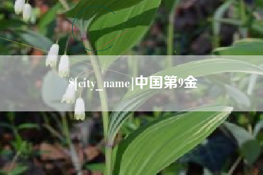文山中国第9金