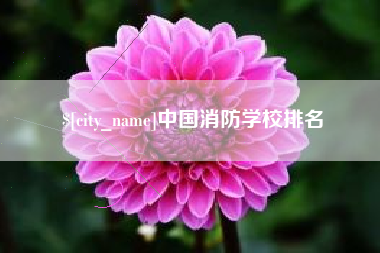 文山中国消防学校排名