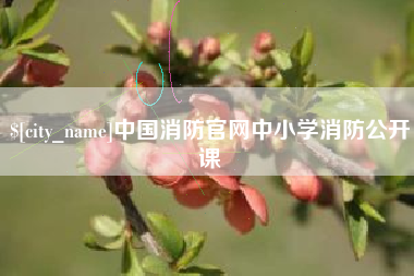 文山中国消防官网中小学消防公开课