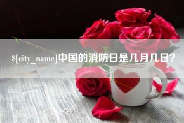 文山中国的消防日是几月几日？