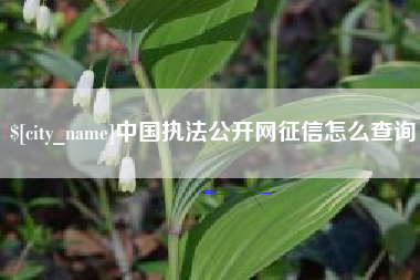 文山中国执法公开网征信怎么查询