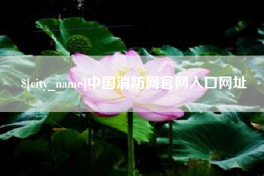 文山中国消防网官网入口网址