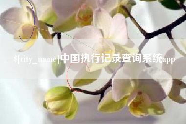 文山中国执行记录查询系统app
