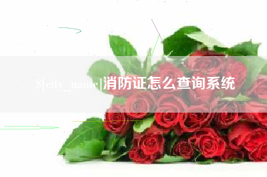 文山消防证怎么查询系统