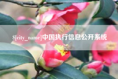 文山中国执行信息公开系统