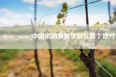文山中国消防救援学院在那个地方