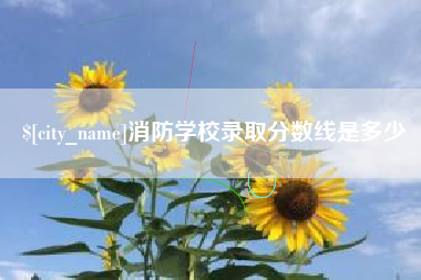文山消防学校录取分数线是多少