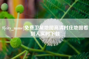 文山免费卫星地图高清村庄地图看到人实时下载