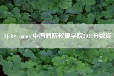 文山中国消防救援学院2018分数线