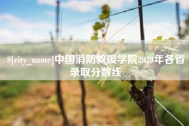 文山中国消防救援学院2020年各省录取分数线