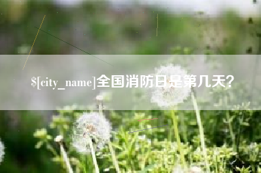 文山全国消防日是第几天？
