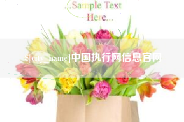 文山中国执行网信息官网