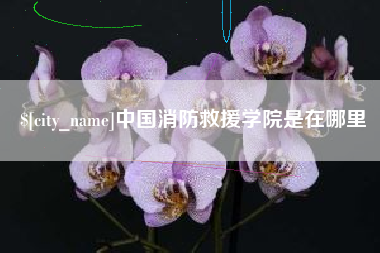 文山中国消防救援学院是在哪里