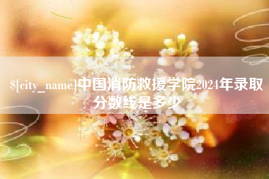 文山中国消防救援学院2024年录取分数线是多少