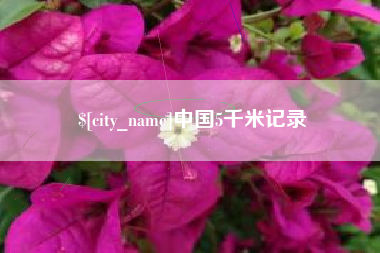 文山中国5千米记录