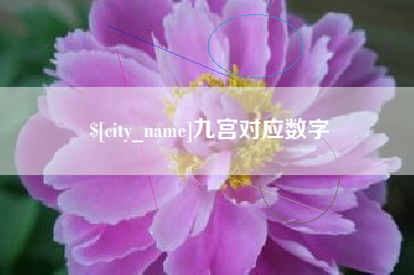 文山九宫对应数字