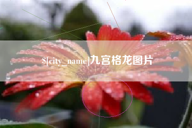 文山九宫格龙图片