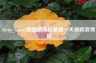 文山我国消防日是哪一天消防宣传日
