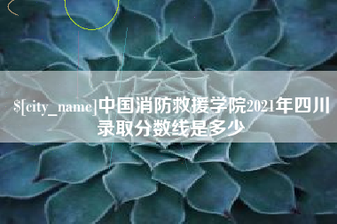 文山中国消防救援学院2021年四川录取分数线是多少
