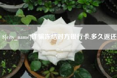 文山诈骗冻结对方银行卡,多久返还