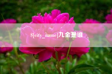文山九金是谁