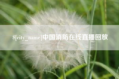 文山中国消防在线直播回放