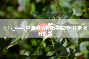 文山中国消防救援学院2019年录取分数线