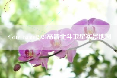 文山2024高清北斗卫星实景地图