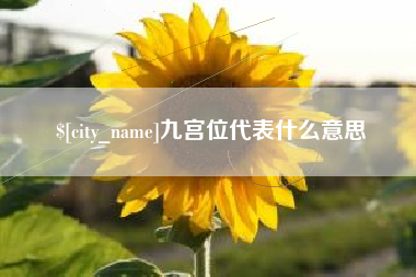 文山九宫位代表什么意思