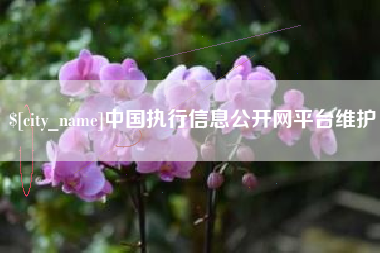 文山中国执行信息公开网平台维护