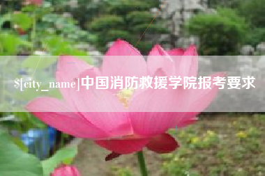 文山中国消防救援学院报考要求