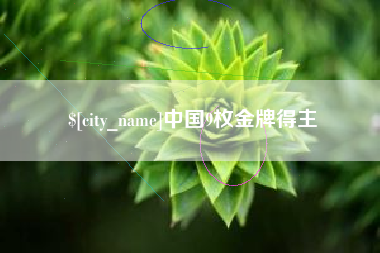 文山中国9枚金牌得主