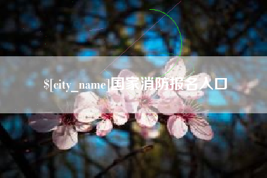 文山国家消防报名入口