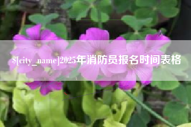 文山2025年消防员报名时间表格
