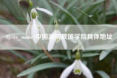 文山中国消防救援学院具体地址