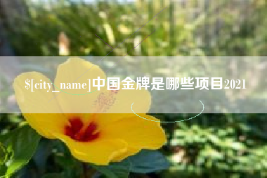 文山中国金牌是哪些项目2021