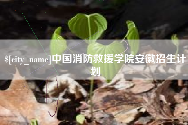 文山中国消防救援学院安徽招生计划