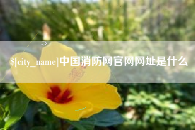 文山中国消防网官网网址是什么